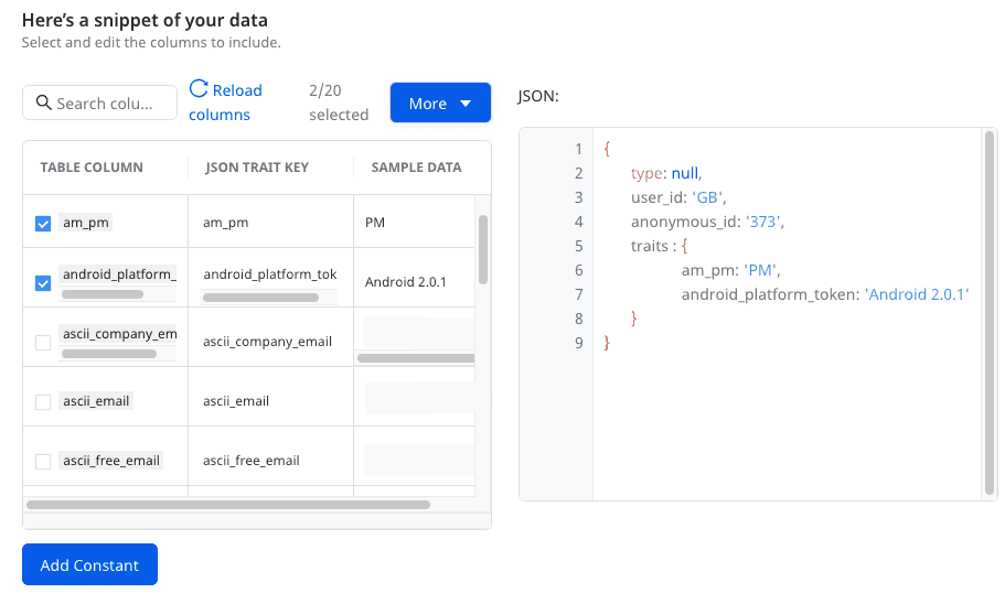 Data snippet preview